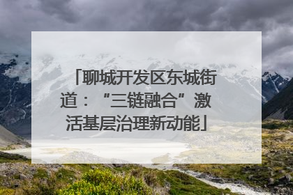 聊城开发区东城街道：“三链融合”激活基层治理新动能