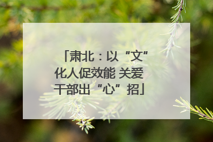肃北：以“文”化人促效能 关爱干部出“心”招