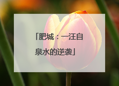 肥城：一汪自泉水的逆袭