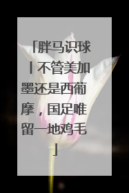 胖马识球丨不管美加墨还是西葡摩，国足唯留一地鸡毛