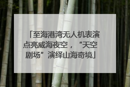 至海港湾无人机表演点亮威海夜空，“天空剧场”演绎山海奇境