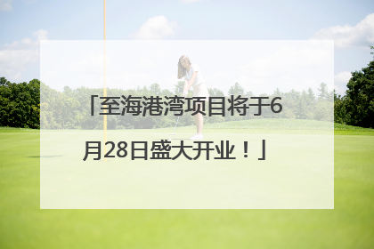 至海港湾项目将于6月28日盛大开业！