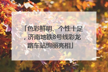 色彩鲜明、个性十足，济南地铁8号线彩龙路车站绚丽亮相