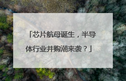 芯片航母诞生，半导体行业并购潮来袭？