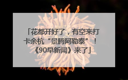 花都开好了，有空来打卡余杭“景腾阿勒泰”！《90早新闻》来了