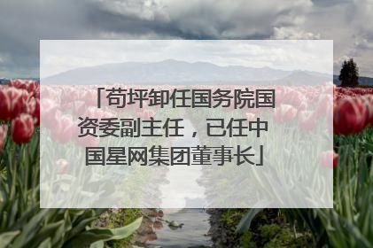 苟坪卸任国务院国资委副主任，已任中国星网集团董事长