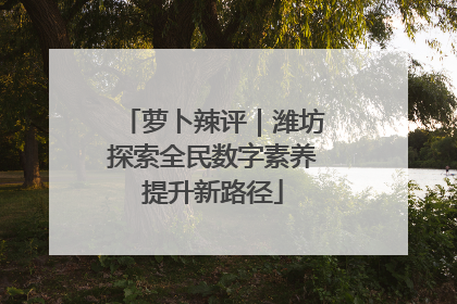 萝卜辣评｜潍坊探索全民数字素养提升新路径