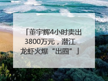 董宇辉4小时卖出3800万元，潜江龙虾火爆“出圈”
