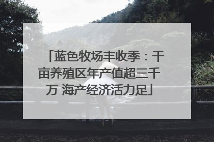 蓝色牧场丰收季：千亩养殖区年产值超三千万 海产经济活力足