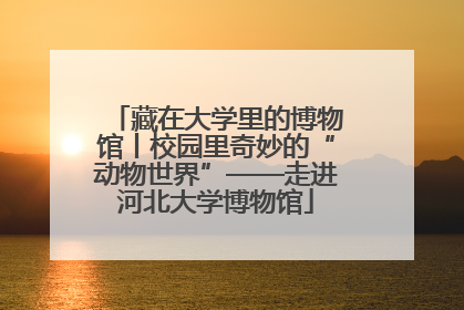 藏在大学里的博物馆丨校园里奇妙的“动物世界”——走进河北大学博物馆