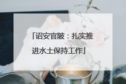 诏安官陂：扎实推进水土保持工作