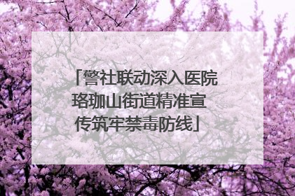 警社联动深入医院 珞珈山街道精准宣传筑牢禁毒防线