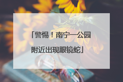 警惕！南宁一公园附近出现眼镜蛇