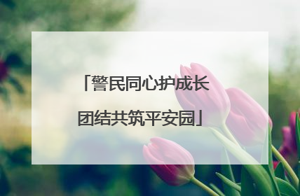 警民同心护成长 团结共筑平安园