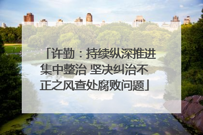 许勤：持续纵深推进集中整治 坚决纠治不正之风查处腐败问题