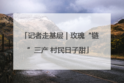 记者走基层｜玫瑰“链”三产 村民日子甜