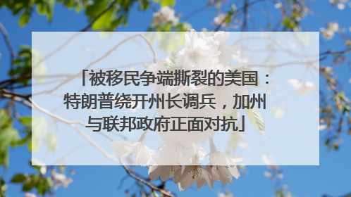 被移民争端撕裂的美国：特朗普绕开州长调兵，加州与联邦政府正面对抗