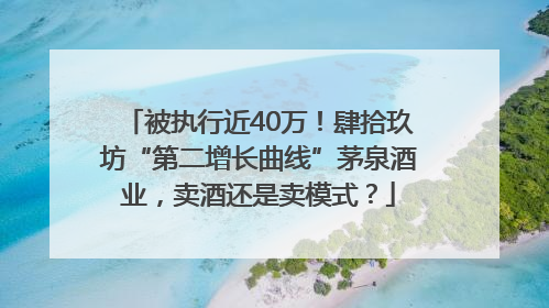 被执行近40万！肆拾玖坊“第二增长曲线”茅泉酒业，卖酒还是卖模式？