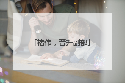 褚伟，晋升副部