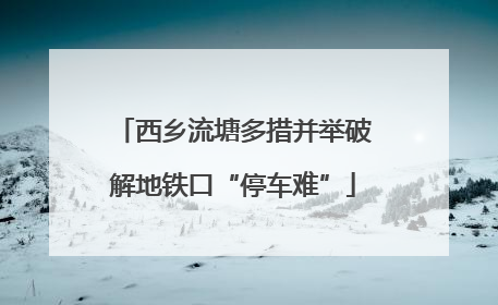 西乡流塘多措并举破解地铁口“停车难”