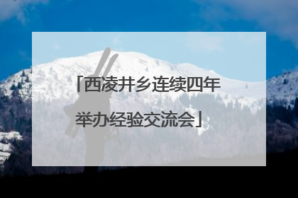 西凌井乡连续四年举办经验交流会