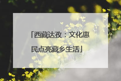 西藏达孜：文化惠民点亮藏乡生活