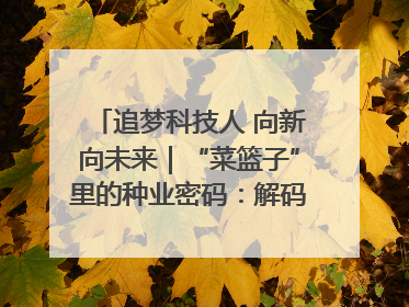 追梦科技人 向新向未来｜“菜篮子”里的种业密码：解码南京蔬菜分子育种的创新之路