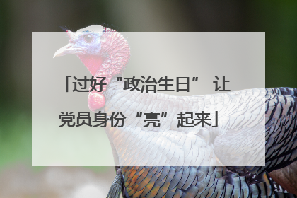 过好“政治生日” 让党员身份“亮”起来