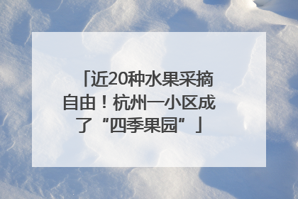 近20种水果采摘自由！杭州一小区成了“四季果园”