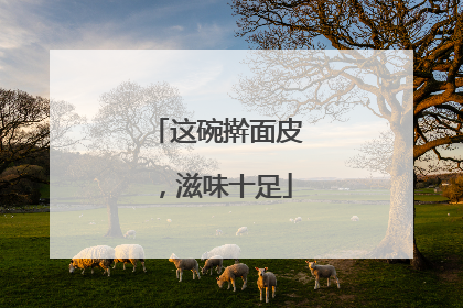 这碗擀面皮，滋味十足