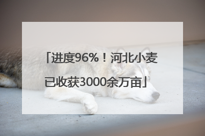 进度96%！河北小麦已收获3000余万亩