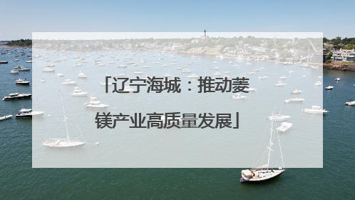 辽宁海城：推动菱镁产业高质量发展