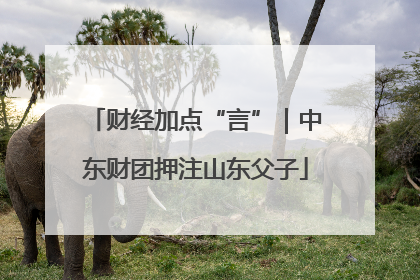 财经加点“言”｜中东财团押注山东父子