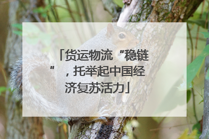 货运物流“稳链”，托举起中国经济复苏活力