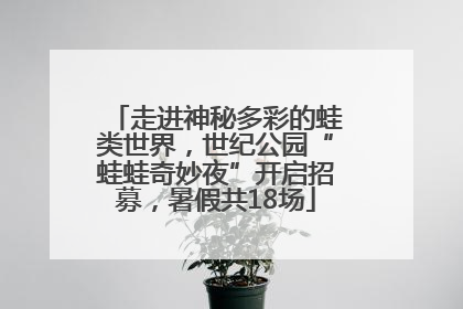 走进神秘多彩的蛙类世界，世纪公园“蛙蛙奇妙夜”开启招募，暑假共18场