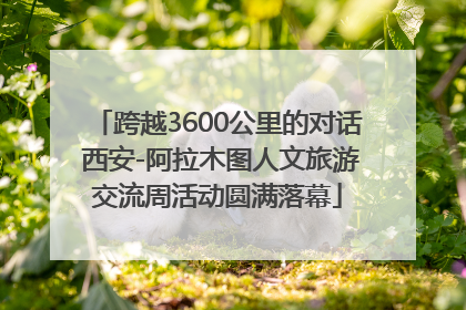 跨越3600公里的对话 西安-阿拉木图人文旅游交流周活动圆满落幕
