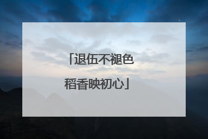 退伍不褪色 稻香映初心