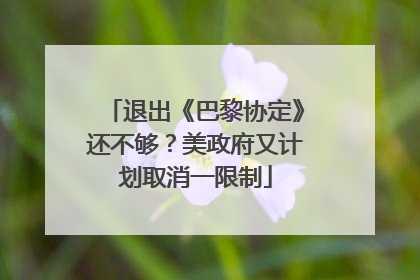 退出《巴黎协定》还不够？美政府又计划取消一限制