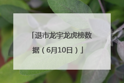 退市龙宇龙虎榜数据（6月10日）