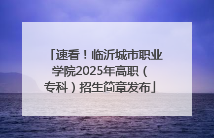 速看！临沂城市职业学院2025年高职（专科）招生简章发布
