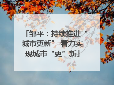 邹平：持续推进“城市更新” 着力实现城市“更”新