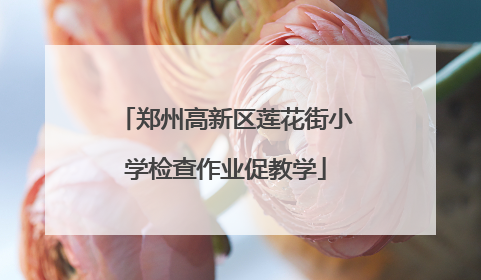 郑州高新区莲花街小学检查作业促教学