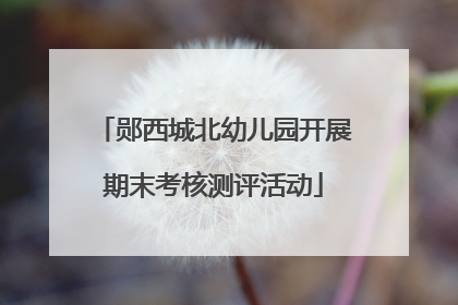 郧西城北幼儿园开展期末考核测评活动