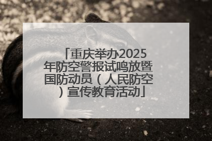 重庆举办2025年防空警报试鸣放暨国防动员（人民防空）宣传教育活动