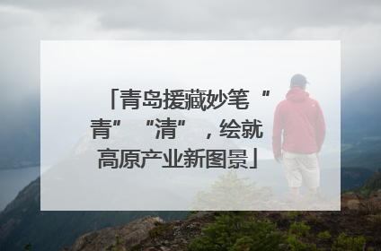 青岛援藏妙笔“青”“清”，绘就高原产业新图景