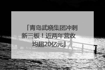 青岛武晓集团冲刺新三板！近两年营收均超20亿元