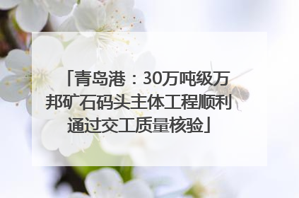 青岛港：30万吨级万邦矿石码头主体工程顺利通过交工质量核验