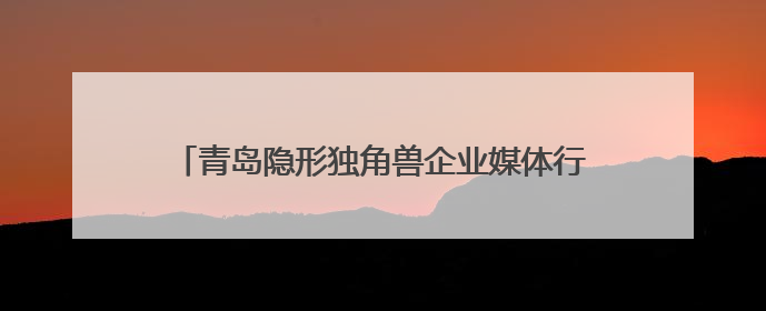 青岛隐形独角兽企业媒体行：揭秘智能家居、芯片技术等创新亮点 共绘科技新篇章