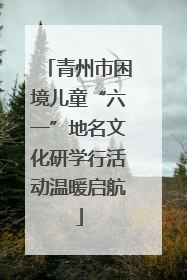 青州市困境儿童“六一”地名文化研学行活动温暖启航