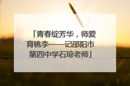 青春绽芳华，师爱育桃李——记邵阳市第四中学石琼老师